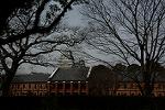 Dcim13113/DSC_0383