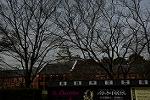 Dcim13113/DSC_0384