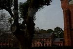 Dcim13113/DSC_0387