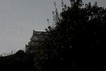 Dcim13113/DSC_0397