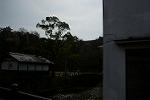 Dcim13113/DSC_0417