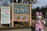 Dcim13113/DSC_0443