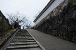Dcim13116/DSC_0743