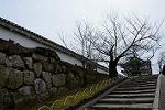 Dcim13116/DSC_0744