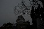 Dcim13119/DSC_1244