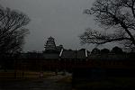 Dcim13119/DSC_1254