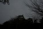 Dcim13119/DSC_1259