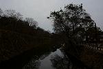 Dcim13119/DSC_1263
