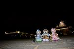 Dcim13120/DSC_1386