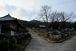 Dcim13128/DSC_2494