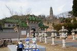 Dcim13129/DSC_2670