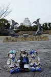 Dcim13130/DSC_2766