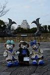 Dcim13130/DSC_2770