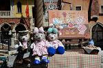Dcim13131/DSC_2972