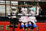 Dcim13136/DSC_3526