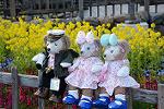 Dcim13136/DSC_3549