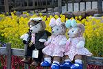 Dcim13136/DSC_3550