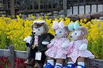 Dcim13136/DSC_3551