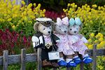 Dcim13136/DSC_3555