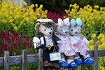 Dcim13136/DSC_3556