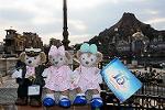 Dcim13137/DSC_3627