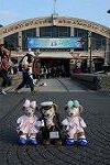 Dcim13137/DSC_3683
