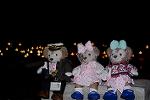 Dcim13141/DSC_4243