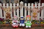 Dcim13149/DSC_5288