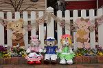 Dcim13149/DSC_5291