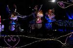 Dcim13165/DSC_0225