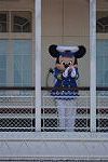 Dcim13167/DSC_7742