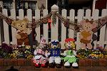 Dcim13167/DSC_7784