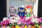 Dcim13167/DSC_7818