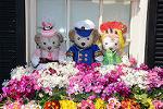 Dcim13167/DSC_7819
