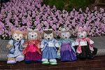 Dcim13178/DSC_9472