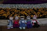 Dcim13178/DSC_9493