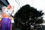 Dcim13181/DSC_9704