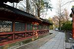 Dcim13182/DSC_9862