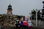 Dcim13186/DSC_0239