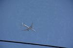 Dcim13188/DSC_0263