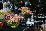 Dcim13189/DSC_0473