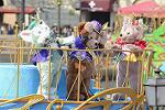 Dcim13190/DSC_0633