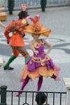 Dcim13195/DSC_1296