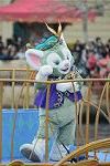 Dcim13195/DSC_1382
