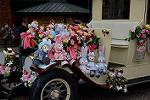 Dcim13199/DSC_1913