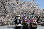 Dcim13202/DSC_2141