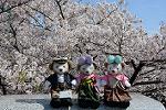 Dcim13202/DSC_2142