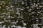 Dcim13202/DSC_2240
