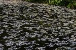 Dcim13202/DSC_2242