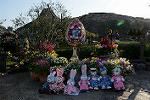 Dcim13206/DSC_2615